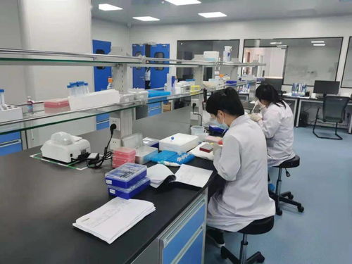 奮進正當時 固安產業(yè)新城的“犇”騰之勢與電氣科技新浪潮